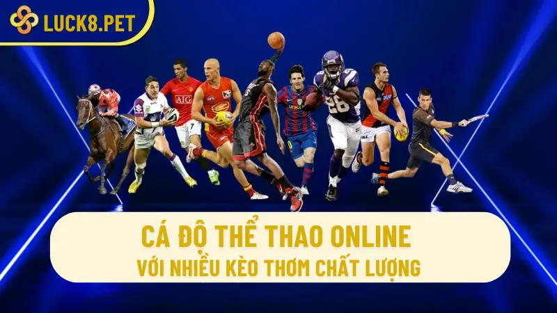 Cá độ thể thao trực tuyến nhiều kèo thơm chất lượng