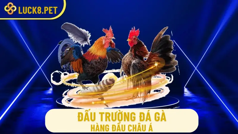 Đấu trường Đá gà hàng đầu châu Á