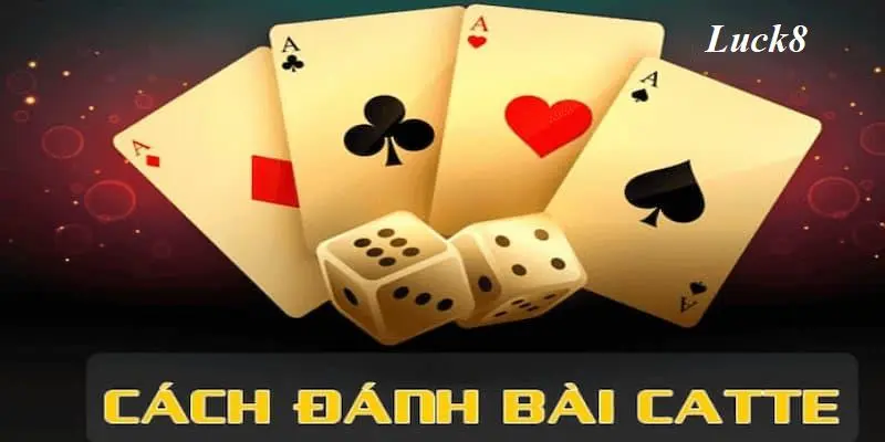 Hướng dẫn cụ thể về cách chơi bài Catte trên Luck8